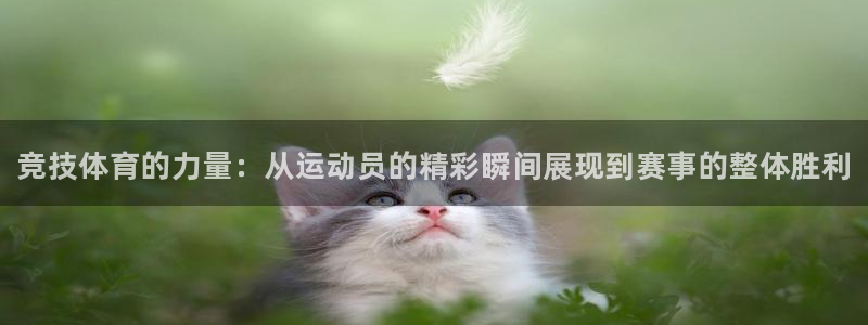 米兰体育官方正版app神州:竞技体育的力量:从运动员的精彩瞬
