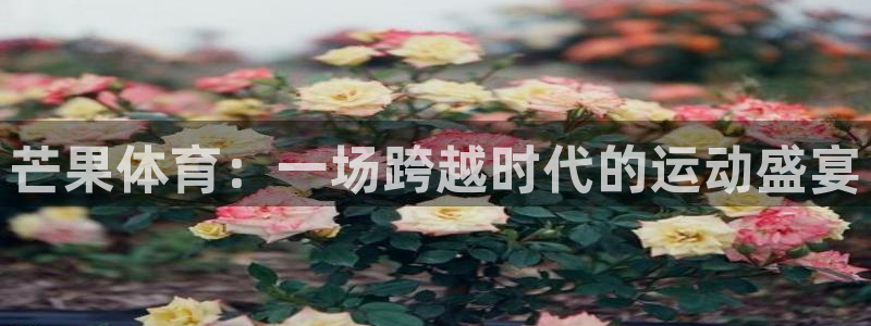 米兰体育官网下载招商电话地址是多少:芒果体育:一场跨越时代的