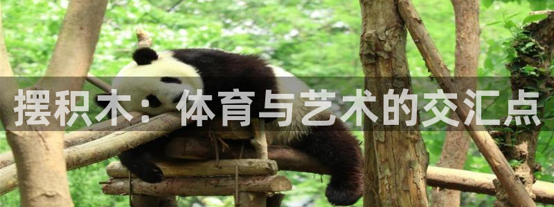 米兰体育官方正版app娱乐首页官网下载:摆积木:体育与艺术的