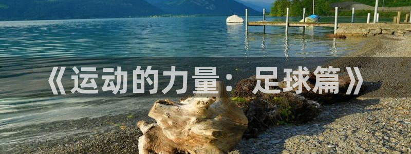 米兰体育官网下载招商电话号码是多少号:《运动的力量:足球篇》