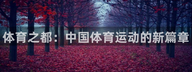 米兰体育官方正版app集团E.ON:体育之都:中国体育运动的
